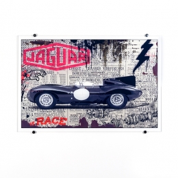 Jaguar Race | Collection RIOU Glass x RWA